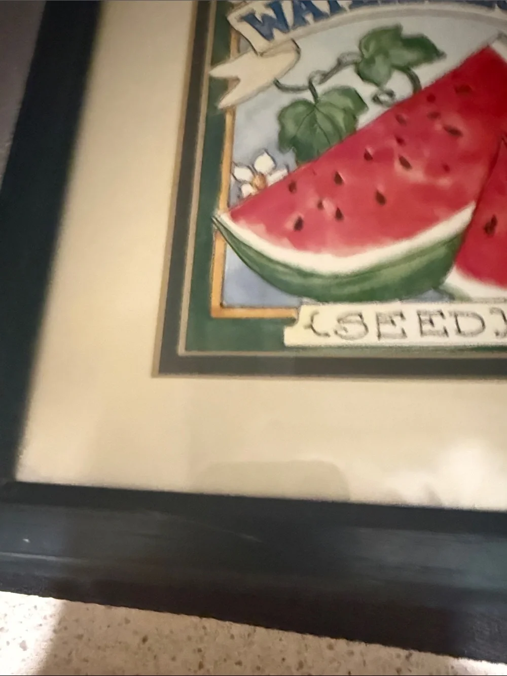 “Large Watermelon Seed Packet” framed picture of a watermelon seed packet.